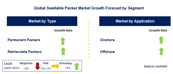 Swellable Packer Market by Segment